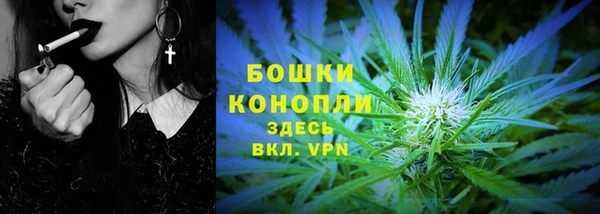 дмт Богородицк