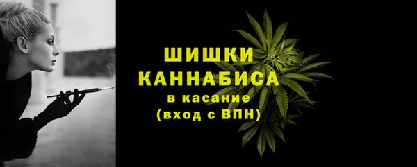 прущий лед Богородск