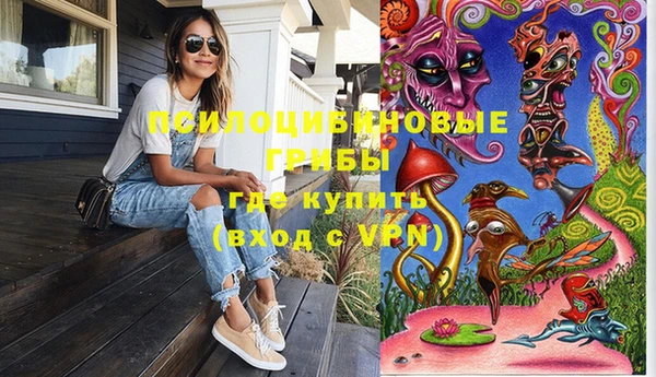 индика Бронницы
