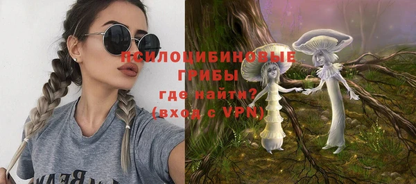 дмт Богородицк