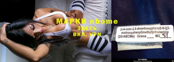 дмт Богородицк