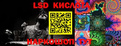 гидропоника Гатчина