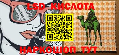 гидропоника Гатчина