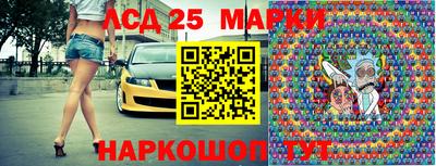 гидропоника Гатчина