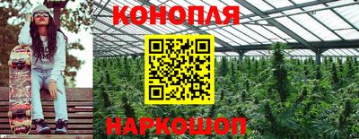 наркотики Гагарин