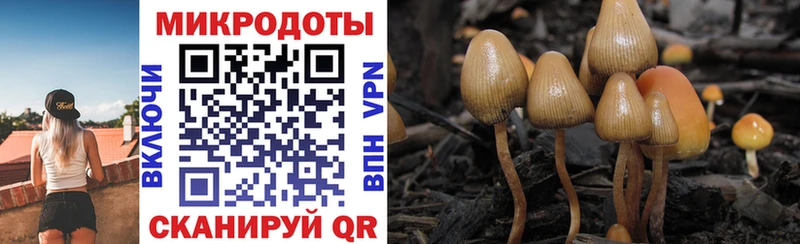 omg как зайти  Горячий Ключ  Псилоцибиновые грибы мухоморы 