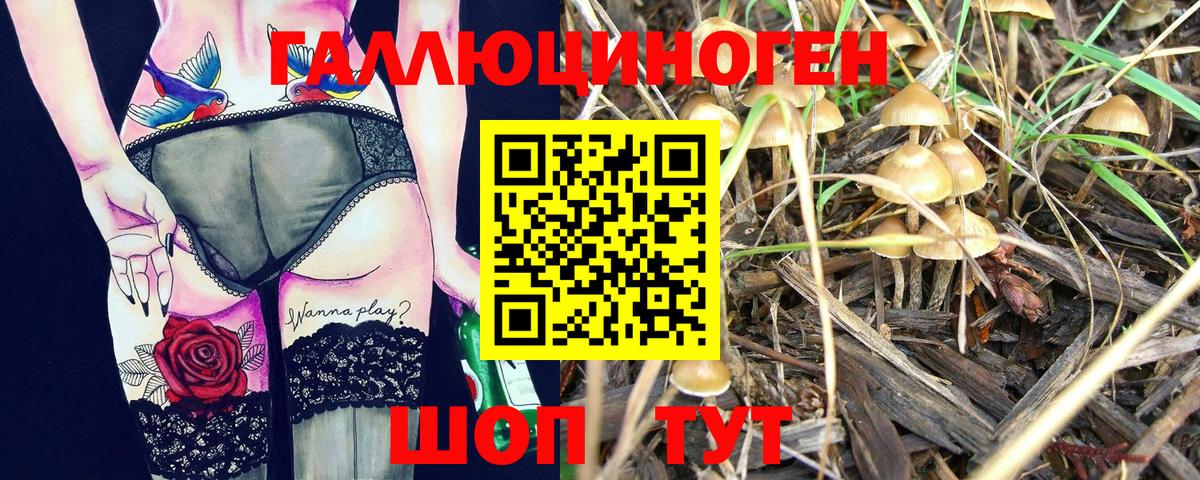 Псилоцибиновые грибы GOLDEN TEACHER Горячий Ключ