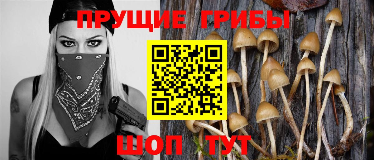 Галлюциногенные грибы Magic Shrooms Горячий Ключ